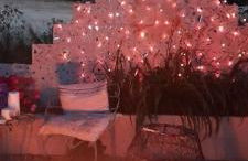 The Annex Rocket cottage - Foto 1