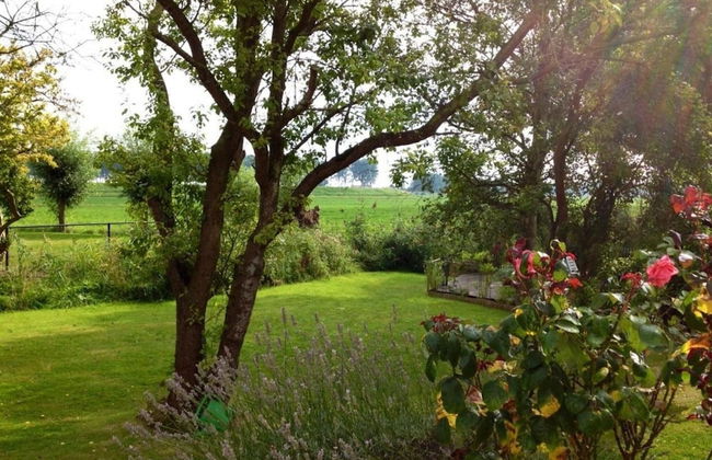 Dike House Near Breskens With Stream Garden - Photo 29