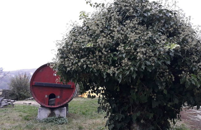 Cascina Binelli - Foto 36