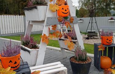 Całoroczny Ośrodek Wypoczynkowy COMFORT HOUSE - Foto 60