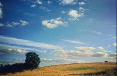 W starej szkole - agroturystyka - Foto 75