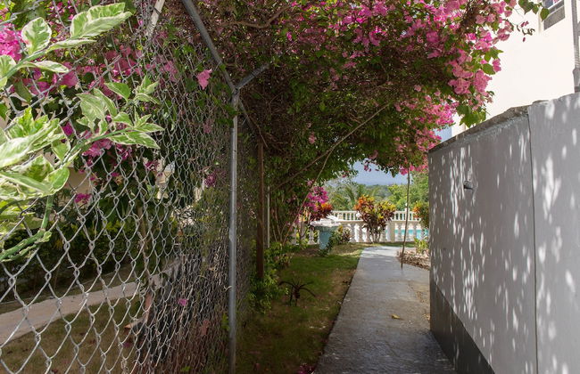 The Royal Kensington Villa - Photo 33