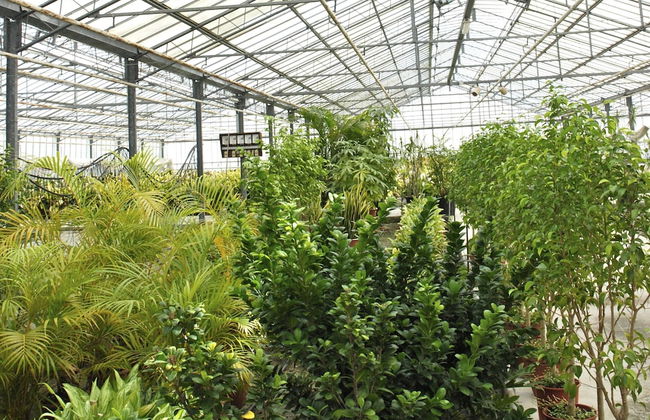 Cozy Holiday Home in Trecase With Balcony - Casa per Ferie - Foto 38