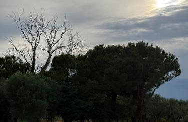 Johnny Jo Villa - Photo 39