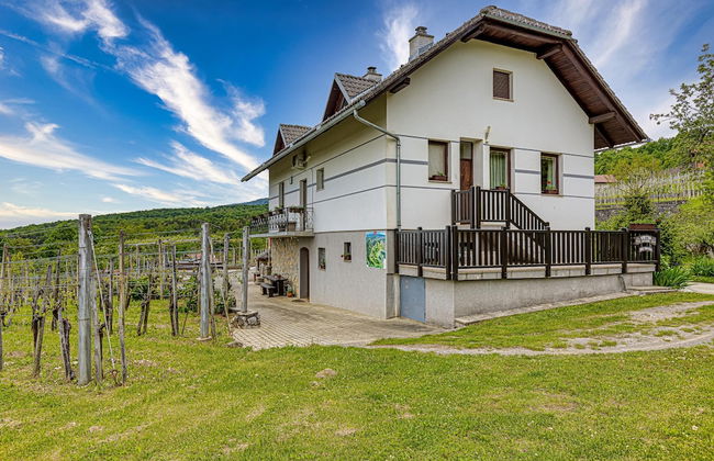 Vineyard Homestead Vrtin - Foto 41