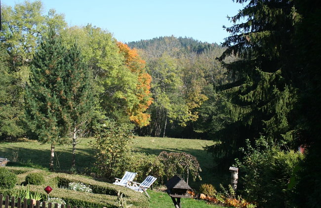 Apartment for 2 Adults & 2 Children near Ski Resort in Black Forest - Foto 24