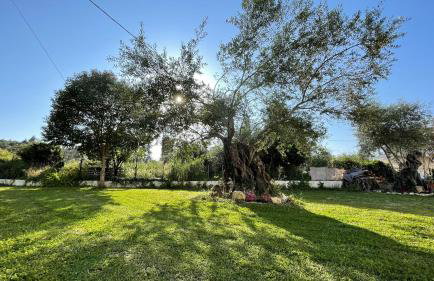 Nine Muses Apartments - Foto 35