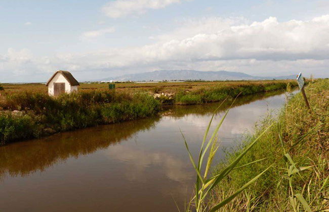Excursión al Delta del Ebro + Paseo en catamarán - Foto 5