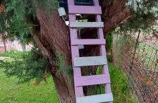 The Seasons of Nickolas - Foto 40