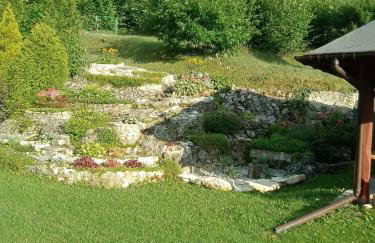 Agroturystyka Leśna Ostoja Borek - Foto 10