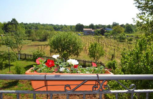 Apartments Marko - Foto 34