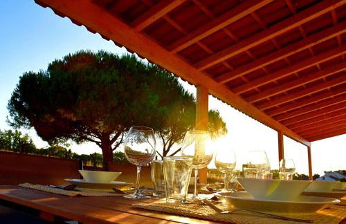 Monte Casa Branca - Foto 8