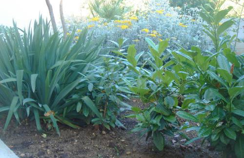 Villa Laurus - Foto 31