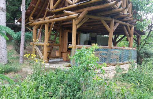 Farma Zdrowia - Foto 49