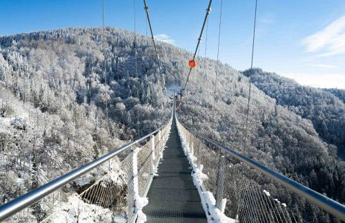 Ferienhaus Vogelsang - Foto 68