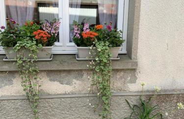 Gîte Gîtes de France® - Au P'tit Prince d'Etretat - Foto 24