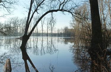 Logis de LANGE studio 2 p - Foto 38