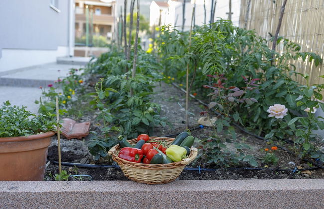 Luxury Villa Petra near Split - Foto 41