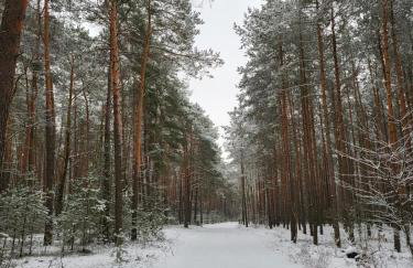 Rzeka, plaża, sauna, kajaki - Plażowe Zacisze - Foto 21
