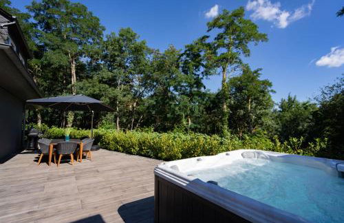 Vulkan Villa - Foto 17