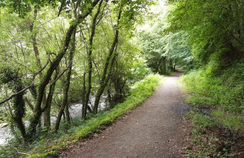 Le paradis - Foto 40