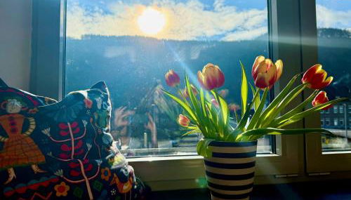 Urlaubsschmiede Mosel - Foto 5