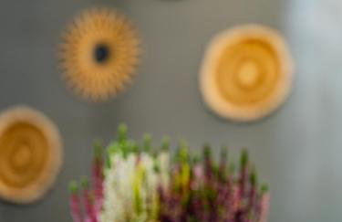 Otulina Mazur - Całoroczny dom w otoczeniu przyrody - Foto 4