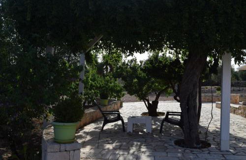 Dimore Storiche - Ulivo di Aldo - Foto 51