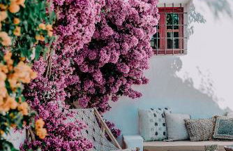 Hotel Can Sastre - Foto 28