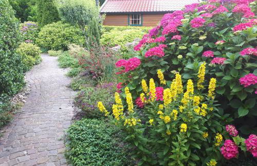 Familienurlaub in Ostfriesland für max 7 Pers in 2 Wohnungen, auch Einzeln Wohnungen - Photo 63