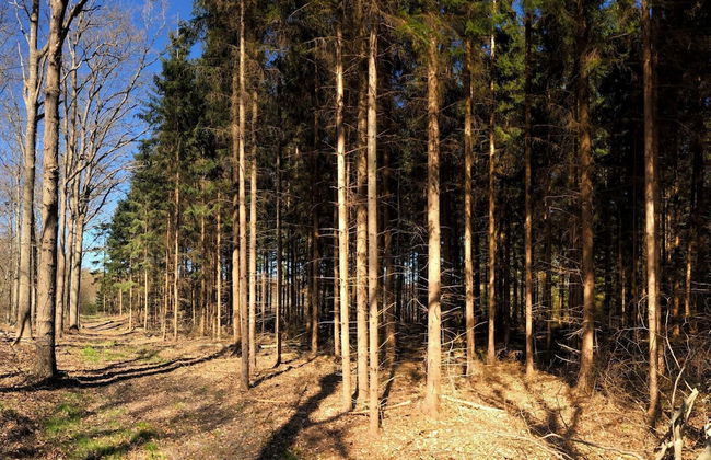 6 Person Holiday Home in Karrebaeksminde - Foto 15