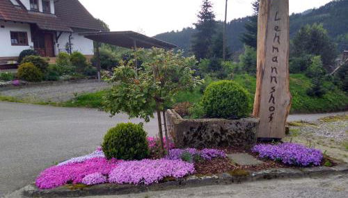 Lehmannshof Ferienwohnungen - Foto 3