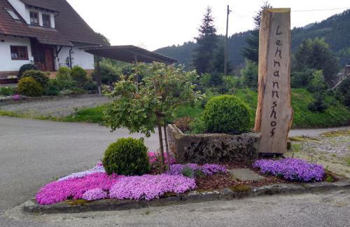 Lehmannshof Ferienwohnungen - Foto 3