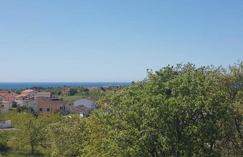 Apartment Studio Baric - Photo 9