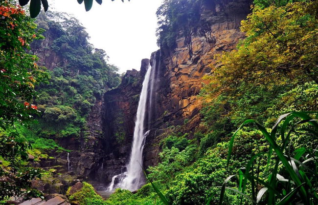 Clovefield Villa - Foto 23