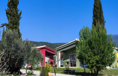 Socrates Organic Village - Wild Olive - Photo 39