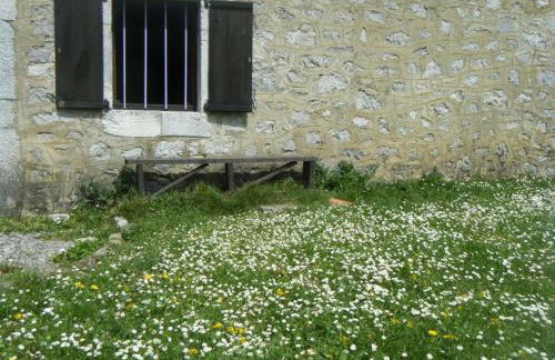 Venta la Aurora - Foto 19