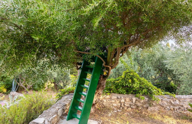 Stone Farmhouse in Groves - Sea Mountain Views - Foto 40