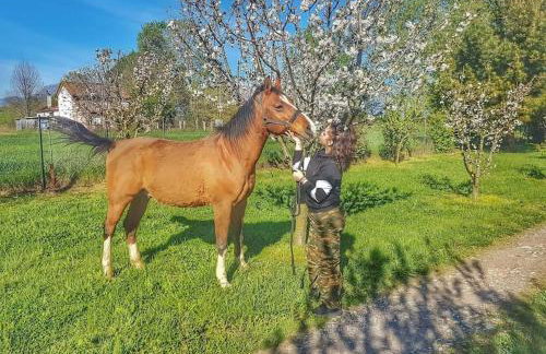 Το σπίτι στο αγρόκτημα - Foto 29