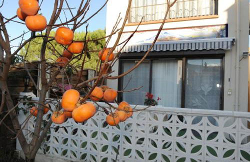 Pavillon de Diane - Foto 7