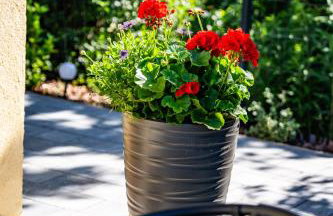 Dom w Karkonoszach - Foto 26