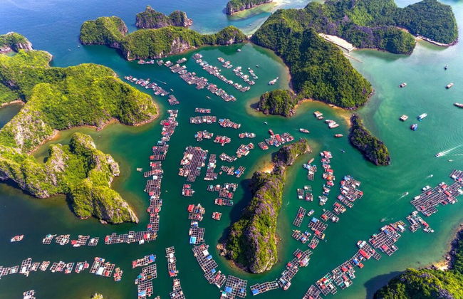 Cat Ba Seoul 2 Hotel & Apartment - Foto 72