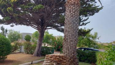 Casa Vaso - Foto 2, Garden