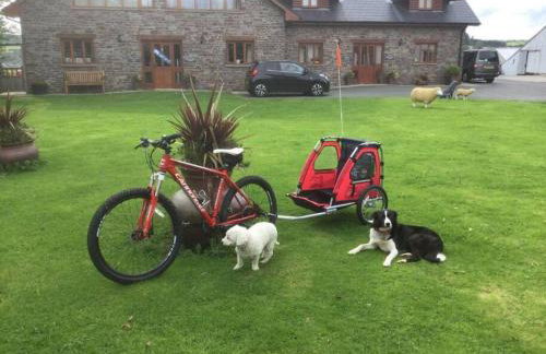 Poplar Tree Eco Lodge - Foto 19