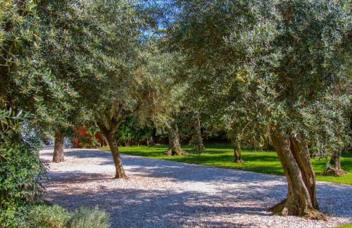 Suite Agave - Foto 7