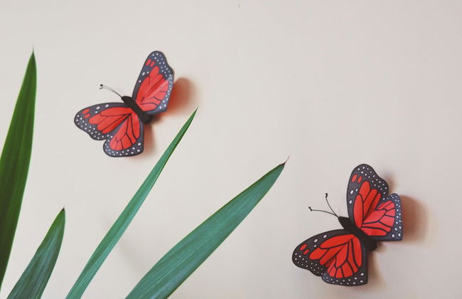 Metro Apartments South Melbourne CBD edge - Foto 19