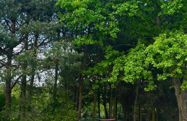 Apartamenty i Winnica - Siedlisko Na Polanie - Foto 66