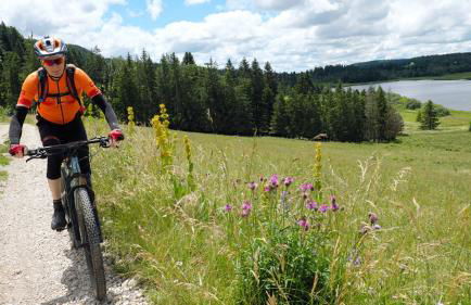 CHALET COSY A LA MONTAGNE AVEC SAUNA TONNEAU situé à St Laurent en Grandvaux - Proche lacs cascades et pistes de ski - Foto 25