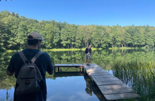 DoWielina - domki wśród natury - Foto 46
