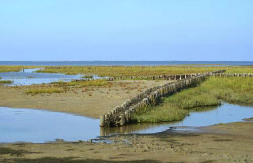 Schäferhof Dircks Fewo 2 - Foto 33